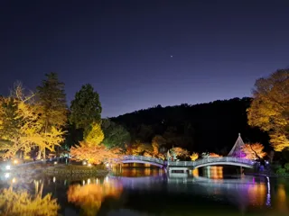 東京・町田市「秋遊び2025」開催中！～秋の夜を彩る、幻想的な雲海と紅葉ライトアップ～