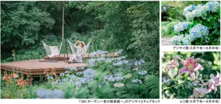 草摘み花摘みガーデンツアー - 兵庫県神戸市灘区 | イベントお出かけ