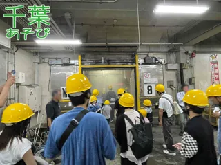 千葉市地方卸売市場に密着！ プロに教わる魚の目利き講座＆-45℃の冷凍庫体験