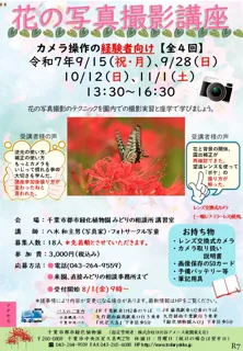 花の写真撮影講座「経験者向け」