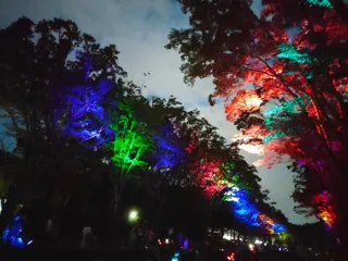 トワイライトZOO～夕方から夜にかけて楽しめる、千葉市動物公園イベント～