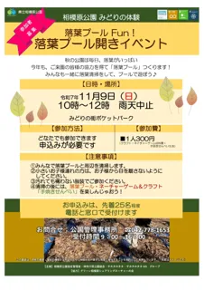 【要申込】落葉プール Fun！落葉プール開きイベント🍂