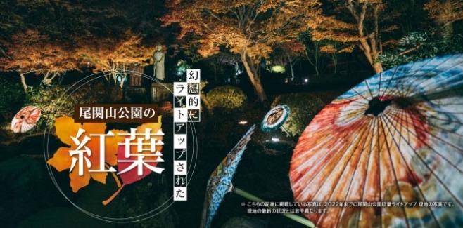 尾関山公園 紅葉ライトアップ