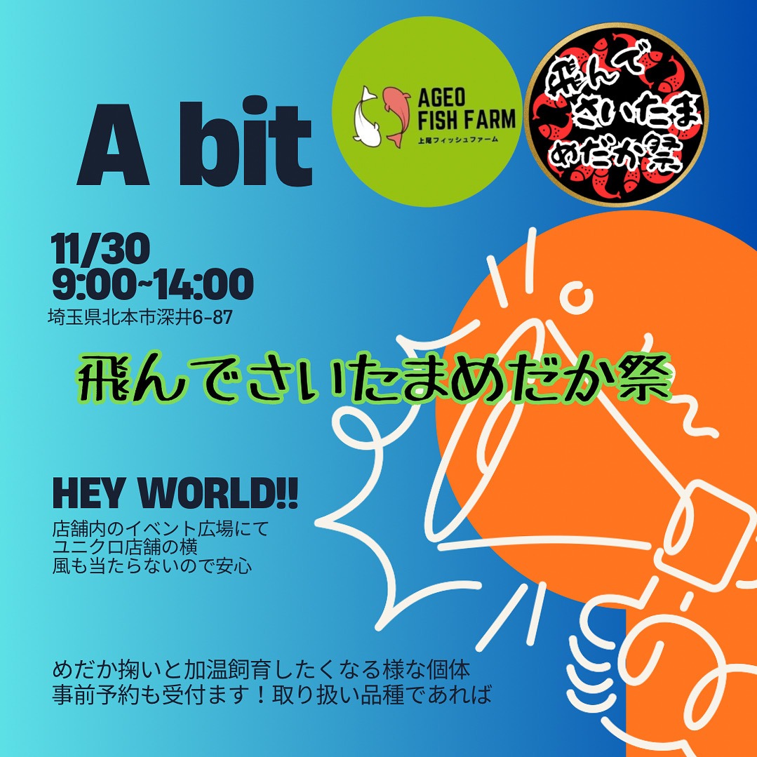 飛んでさいたま めだか祭 A bit