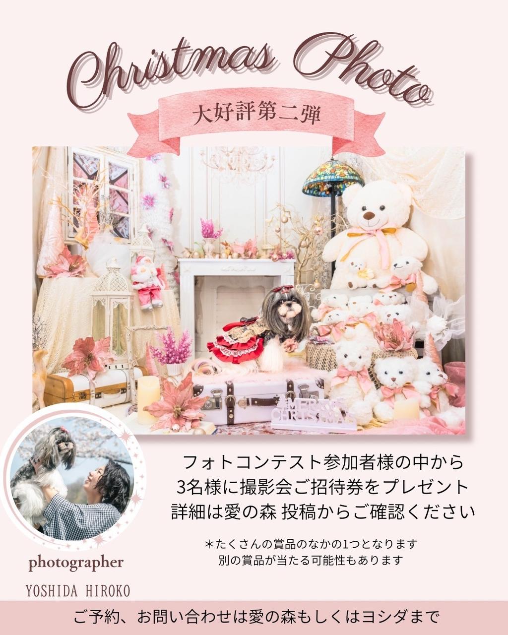 Christmas Photo Session