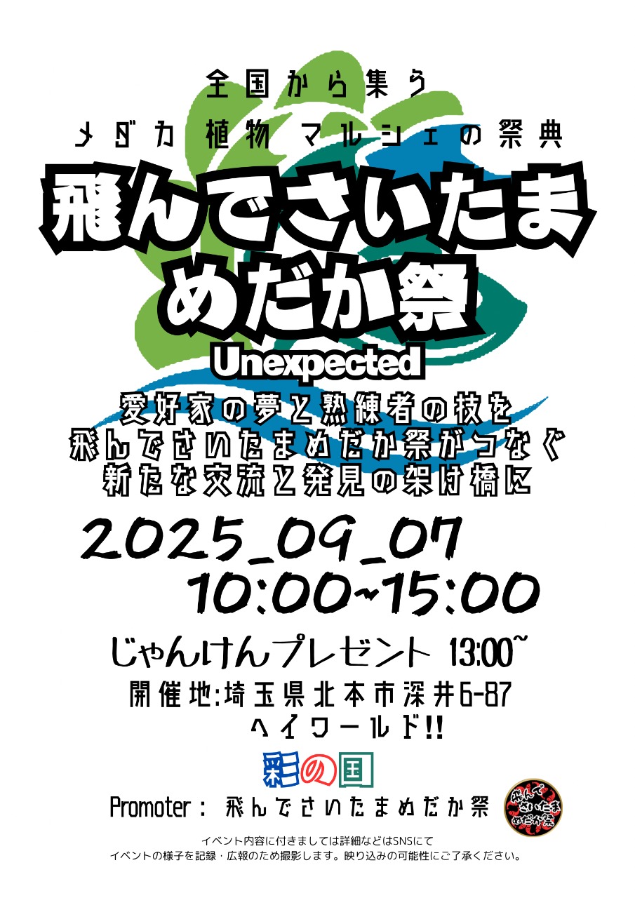 飛んでさいたま めだか祭 Unexpected